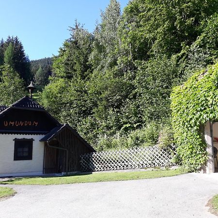 Umundumhütte Villa Katsch an der Mur Dış mekan fotoğraf