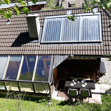Umundumhütte Villa Katsch an der Mur Dış mekan fotoğraf