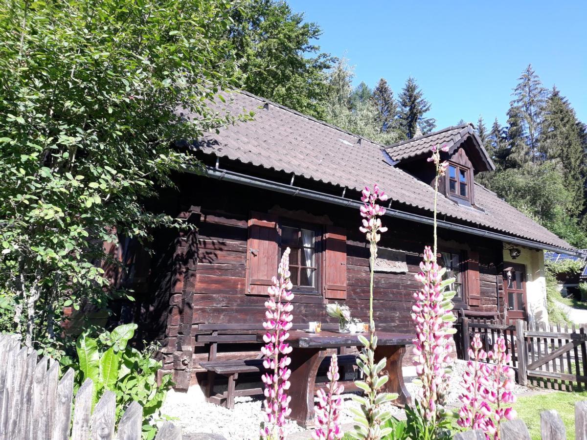 Umundumhütte Villa Katsch an der Mur Dış mekan fotoğraf