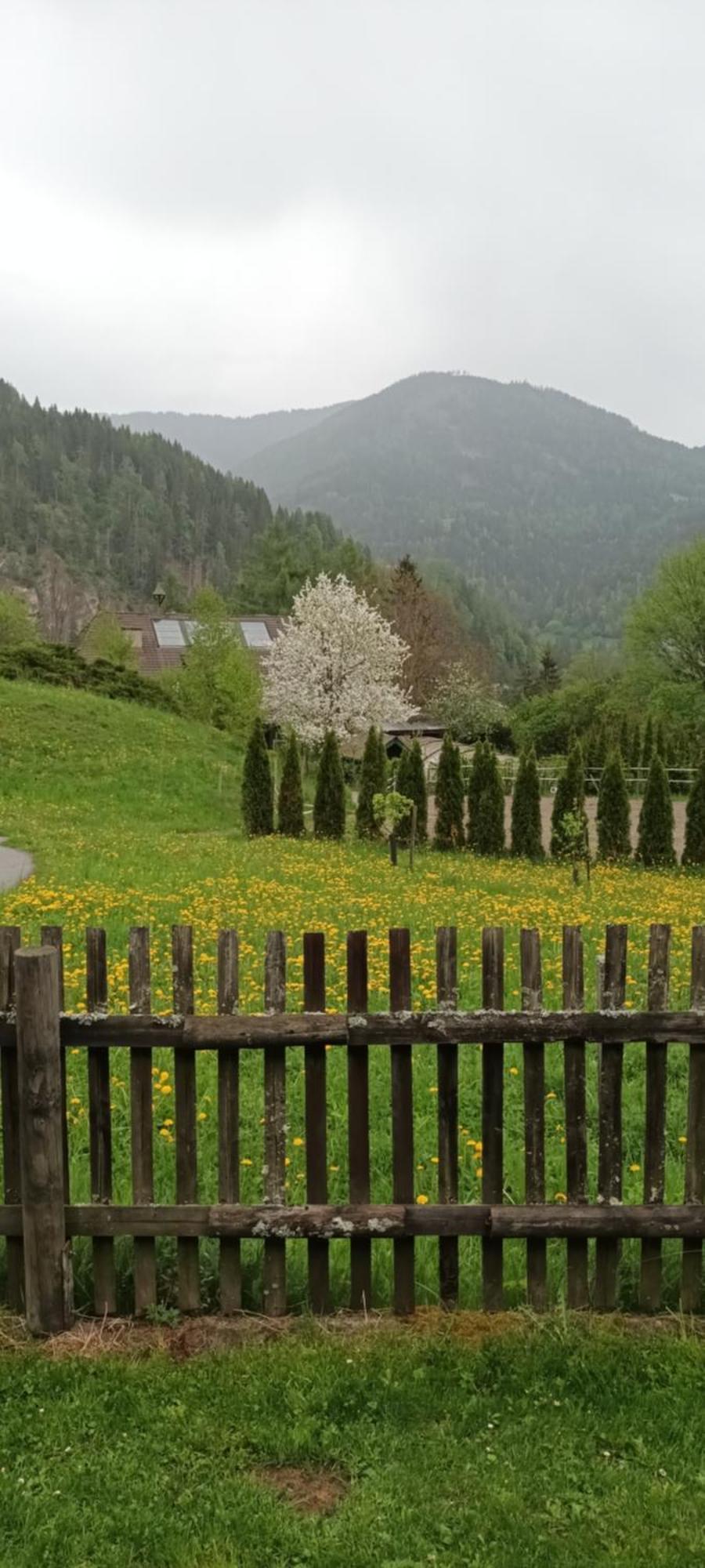 Umundumhütte Villa Katsch an der Mur Dış mekan fotoğraf