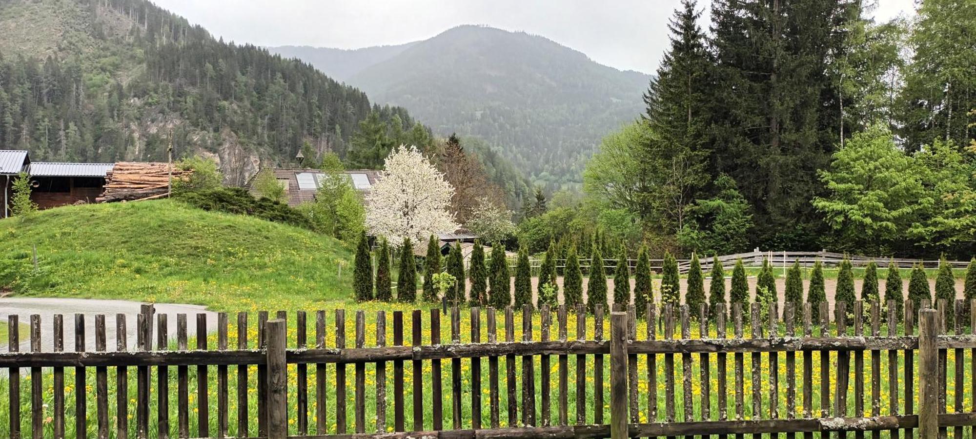Umundumhütte Villa Katsch an der Mur Dış mekan fotoğraf