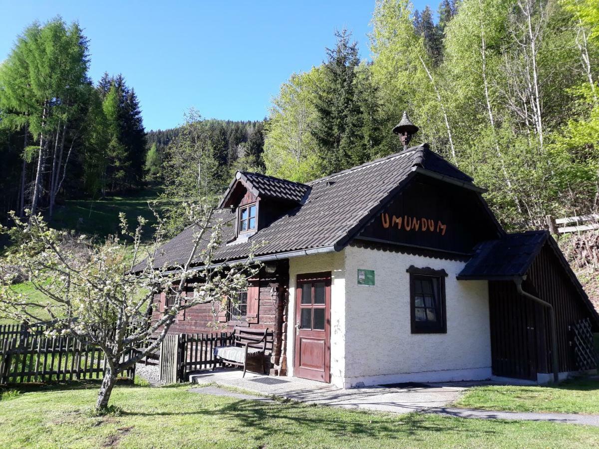 Umundumhütte Villa Katsch an der Mur Dış mekan fotoğraf