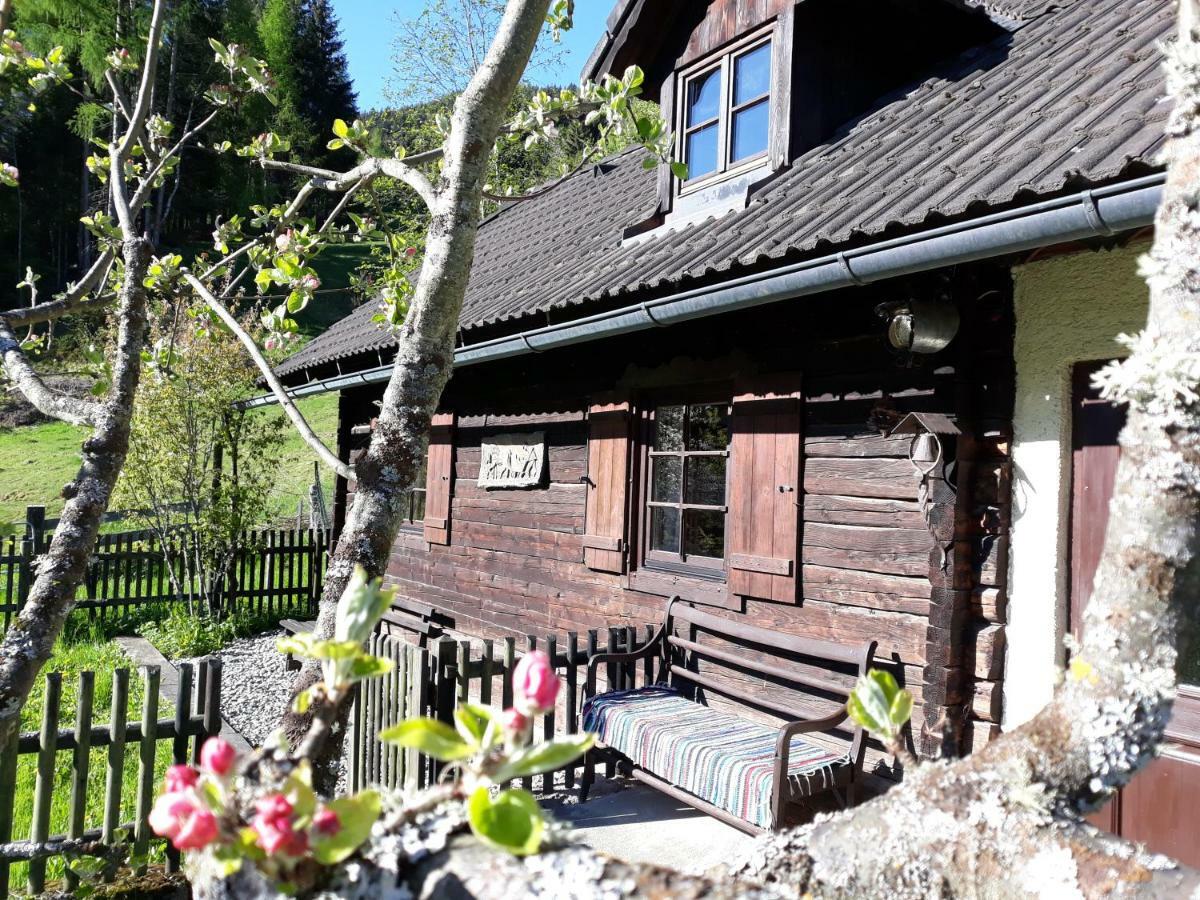 Umundumhütte Villa Katsch an der Mur Dış mekan fotoğraf